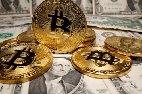 Bức Tranh Thị Trường Crypto 2024: Dự Báo Mùa Uptrend và Sự Kiện Halving Bitcoin