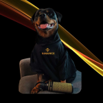 Binance Dog: $CHO (Chief Happiness Officer) – Cơn sốt Meme Coin mới trên BSC