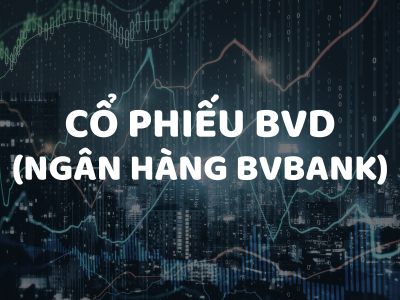 Review Cổ Phiếu BVB (Ngân hàng BVBank): Phân Tích Cổ Phiếu & Cơ Hội Đầu Tư Ngân Hàng Bản Việt