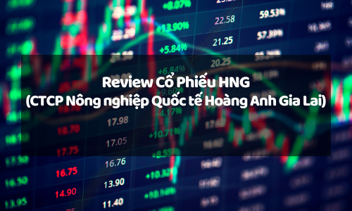 Khám Phá Tiềm Năng Cổ Phiếu HNG (CTCP Nông nghiệp Quốc tế Hoàng Anh Gia Lai): Cơ Hội Đầu Tư Hay Rủi Ro?