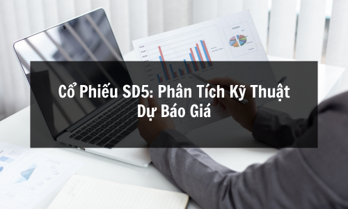 Cổ Phiếu SD5: Phân Tích Kỹ Thuật, Dự Báo Giá 2025 & Rủi Ro Đầu Tư