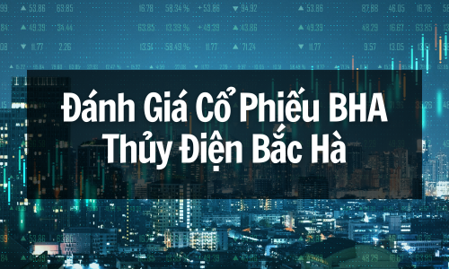 Đánh Giá Cổ Phiếu BHA: Thủy Điện Bắc Hà Tiềm Năng Tăng Trưởng?