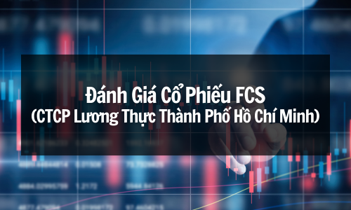 Đánh Giá Cổ Phiếu FCS (CTCP Lương Thực Thành Phố Hồ Chí Minh): Cơ Hội Đầu Tư Hay Rủi Ro Tiềm Ẩn?
