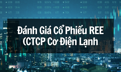 Đánh Giá Cổ Phiếu REE (CTCP Cơ Điện Lạnh): Đầu Tư Vào Cổ Phiếu REE, Cơ Hội Sinh Lời Hay Nguy Cơ Thua Lỗ?