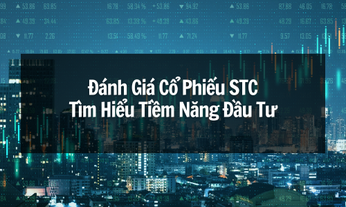 Đánh Giá Cổ Phiếu STC: Tìm Hiểu Tiềm Năng Đầu Tư