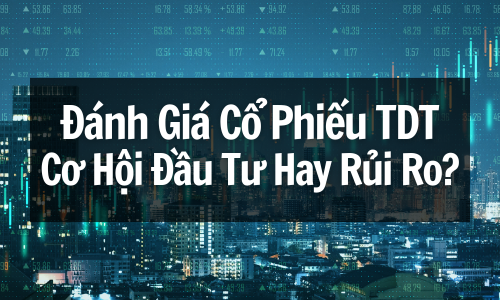 Đánh Giá Cổ Phiếu TDT: Cơ Hội Đầu Tư Hay Rủi Ro?