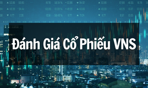 Đánh Giá Cổ Phiếu VNS (CTCP Ánh Dương Việt Nam): Cơ Hội Đầu Tư Hay Rủi Ro?