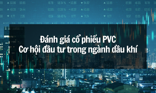 Đánh giá cổ phiếu PVC: Cơ hội đầu tư trong ngành dầu khí