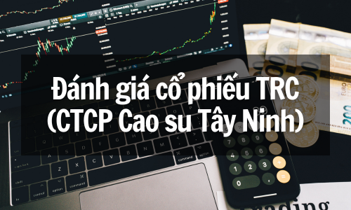 Đánh giá cổ phiếu TRC (CTCP Cao su Tây Ninh): Cơ hội đầu tư bùng nổ