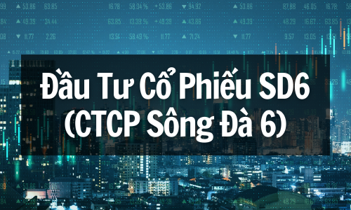 review Cổ Phiếu SD6, Khám Phá Cơ Hội Đầu Tư Cổ Phiếu SD6 (CTCP Sông Đà 6)