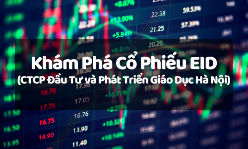 Khám Phá Cổ Phiếu EID (CTCP Đầu Tư và Phát Triển Giáo Dục Hà Nội): Tiềm Năng Tăng Trưởng