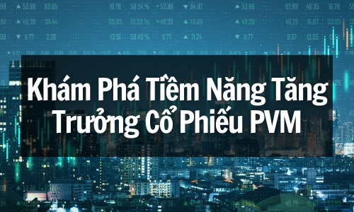 Review Cổ Phiếu PVM: Khám Phá Tiềm Năng Tăng Trưởng Cổ Phiếu PVM