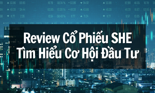 Review Cổ Phiếu SHE: Tìm Hiểu Cơ Hội Đầu Tư