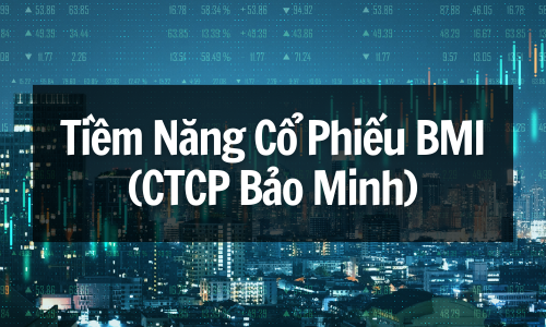 Khám Phá Tiềm Năng Cổ Phiếu BMI (CTCP Bảo Minh): Cơ Hội Tăng Trưởng Mạnh Hay Bẫy Đầu Tư Nguy Hiểm?