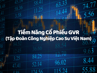 Khám Phá Tiềm Năng Cổ Phiếu GVR (Tập Đoàn Công Nghiệp Cao Su Việt Nam): Cơ Hội Đầu Tư Tăng Trưởng