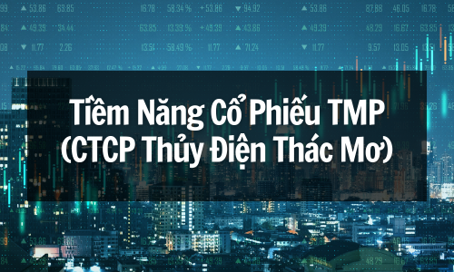 Khám Phá Tiềm Năng Cổ Phiếu TMP (CTCP Thủy Điện Thác Mơ): Cổ Phiếu Tiềm Năng Hay Cơ Hội Bị Bỏ Lỡ?