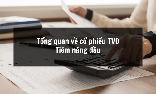 Cổ Phiếu TVD: Phân Tích Rủi Ro Và Lợi Nhuận Cổ Phiếu TVD, Cơ Hội Đầu Tư Vàng Đen 2025