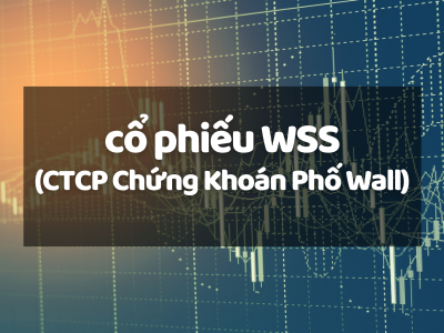 Đánh giá cổ phiếu WSS (CTCP Chứng Khoán Phố Wall): Cổ Phiếu Tiềm Năng Hay Bẫy Rủi Ro?