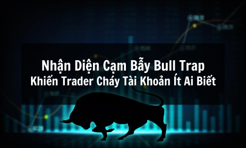 Bull Trap Là Gì? Nhận Diện Cạm Bẫy Khiến Trader Cháy Tài Khoản Mà Ít Ai Biết Và Tránh Bẫy Giá 2025
