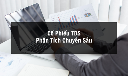 Review Cổ Phiếu TDS (CTCP Thép Thủ Đức – VNSTEEL): Phân Tích Chi Tiết Cổ Phiếu TDS, Cơ Hội Đầu Tư Hay Rủi Ro Tiềm Ẩn?