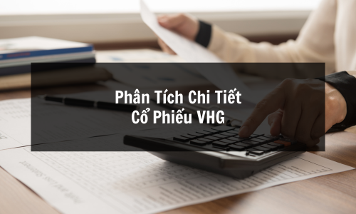 Cổ Phiếu VHG: Phân Tích Chi Tiết Cổ Phiếu VHG, Cơ Hội & Rủi Ro Đầu Tư 2025
