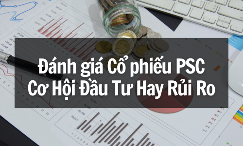 Đánh giá Cổ phiếu PSC: Cơ Hội Đầu Tư Hay Rủi Ro?