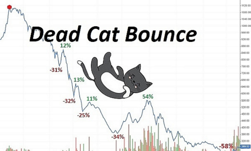 Dead Cat Bounce Trong Chứng Khoán Là Gì? Phân Tích Kỹ Thuật & Cách Tránh Rủi Ro