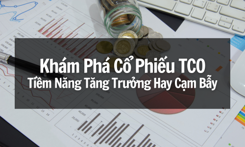 Khám Phá Cổ Phiếu TCO: Tiềm Năng Tăng Trưởng Hay Cạm Bẫy?