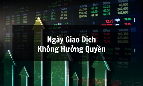 Ngày Giao Dịch Không Hưởng Quyền Là Gì? Bí Ẩn Khiến Nhà Đầu Tư Dễ Mất Tiền