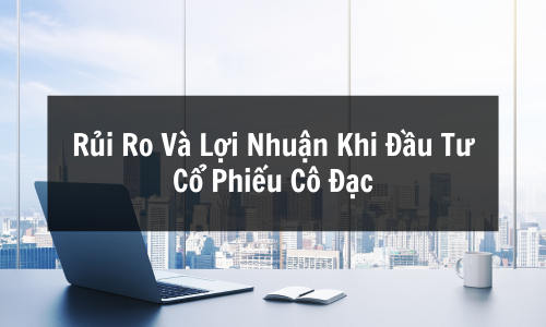 Cổ Phiếu Cô Đặc Là Gì? Rủi Ro Và Lợi Nhuận Khi Đầu Tư Cổ Phiếu Cô Đặc
