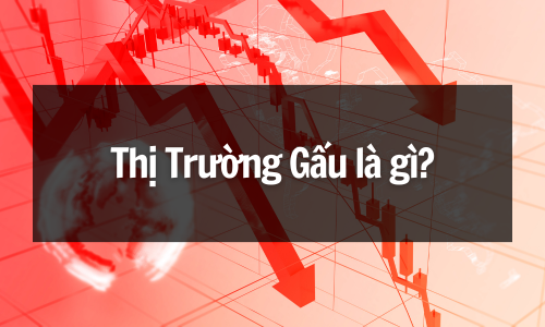Thị Trường Gấu Là Gì? Cơ Hội Ngầm Hay Cơn Ác Mộng Nhà Đầu Tư?