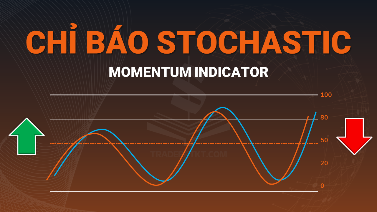 Chỉ Báo Stochastic Là Gì? Vũ Khí Bí Mật Của Trader Chuyên Nghiệp, Cách Dùng Chỉ Báo Stochastic Để Bắt Đỉnh Đáy Chính Xác