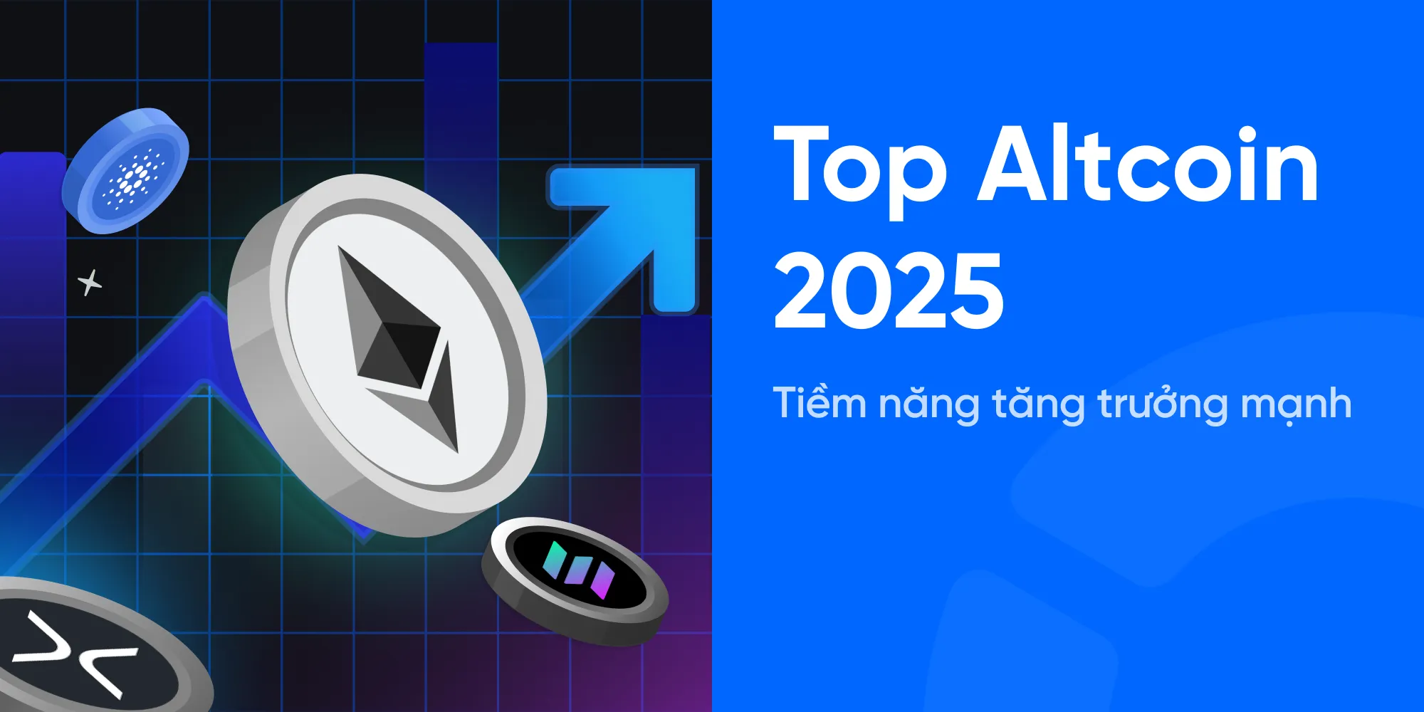 Real Realm là gì? Dự án Game NFT chiến đấu Real Realm và thông tin REAL Token